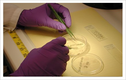 lab-trace-evidence-main1