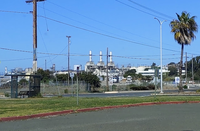 A bus stop across the street from the Phillips 66 refinery in Rodeo, CA. Less than a mile away are homes, a school, medical center, and sanitation department. Photo: Zsea Bowmani