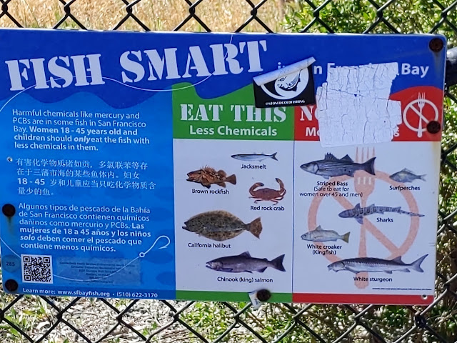 Warning sign near fishing area in Rodeo advising women and children to eat fish with "less chemicals in them." Photo: Zsea Bowmani